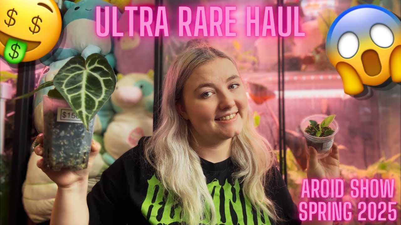 Rare Plant Show Review + Haul | Edmonton Aroid Show Spring 2025