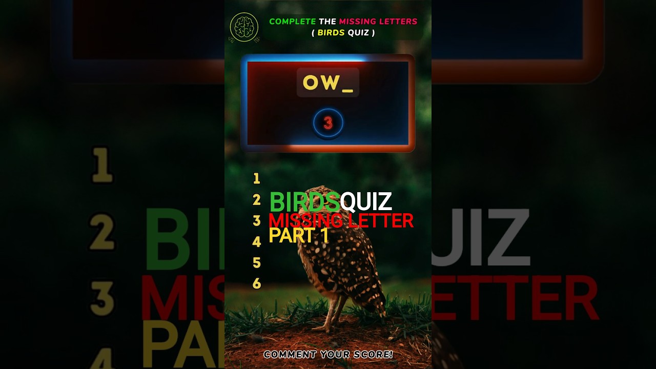 Missing Letter Birds Quiz | Part 1