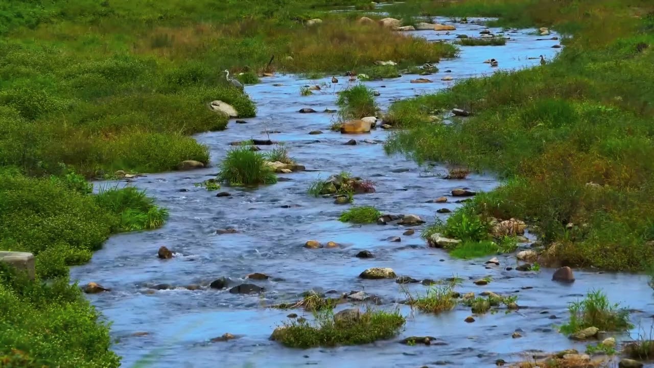 흐르는 물소리와 잔잔한 피아노 선율에 몸을 맡겨 편안한 시간을 보내세요. 마음을 진정시키는 음악입니다.