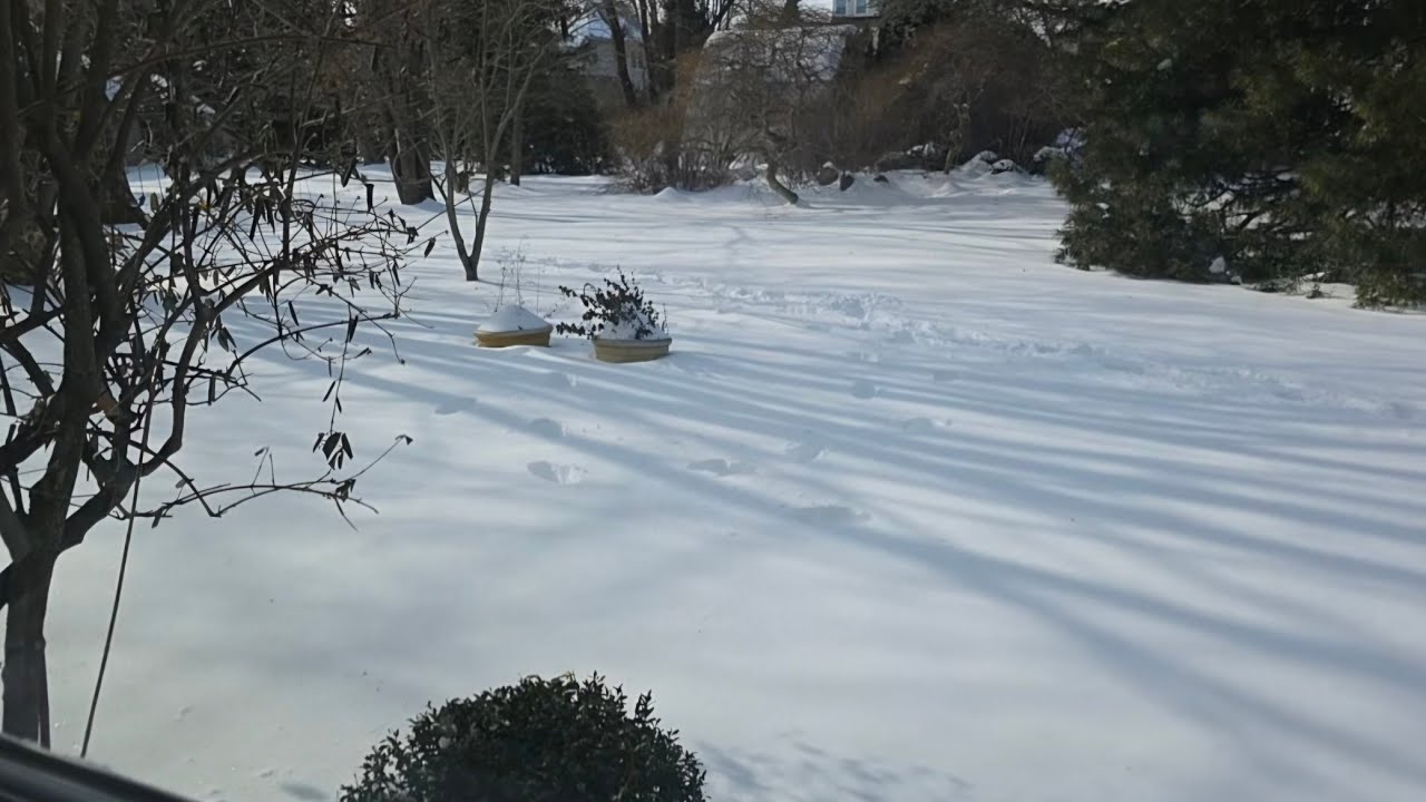 Live Love Laugh-TV is live! | Backyard covered in #snow after the snowstorm in NY