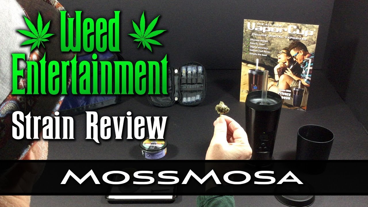 MossMosa - Hybrid - by 3 Bros Grow - Strain Review - from Dr Greenthumbs, Sylmar, Ca