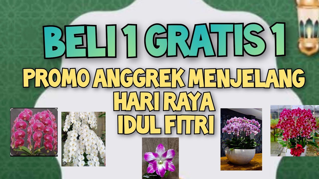 OBRAL BELI 1 GRATIS 1 SPESIAL MENJELANG IDUL FITRI🌸🌸 ADMIN 085655696848