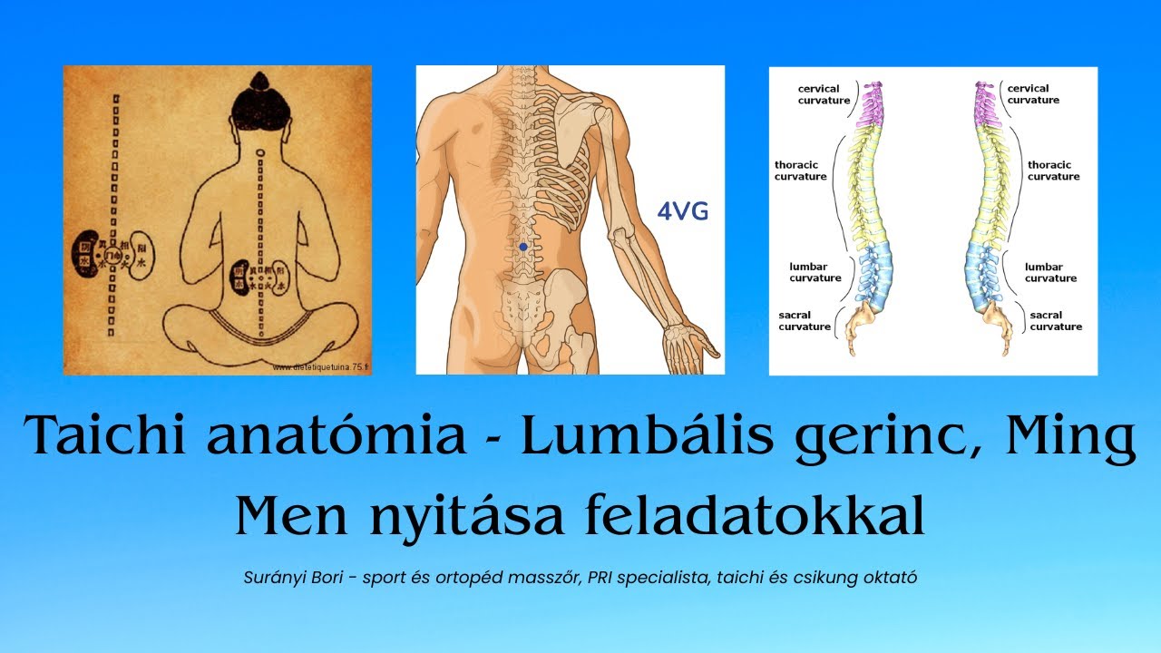 Taichi/Taiji anatómia - lumbális gerinc, Ming Men feladatok