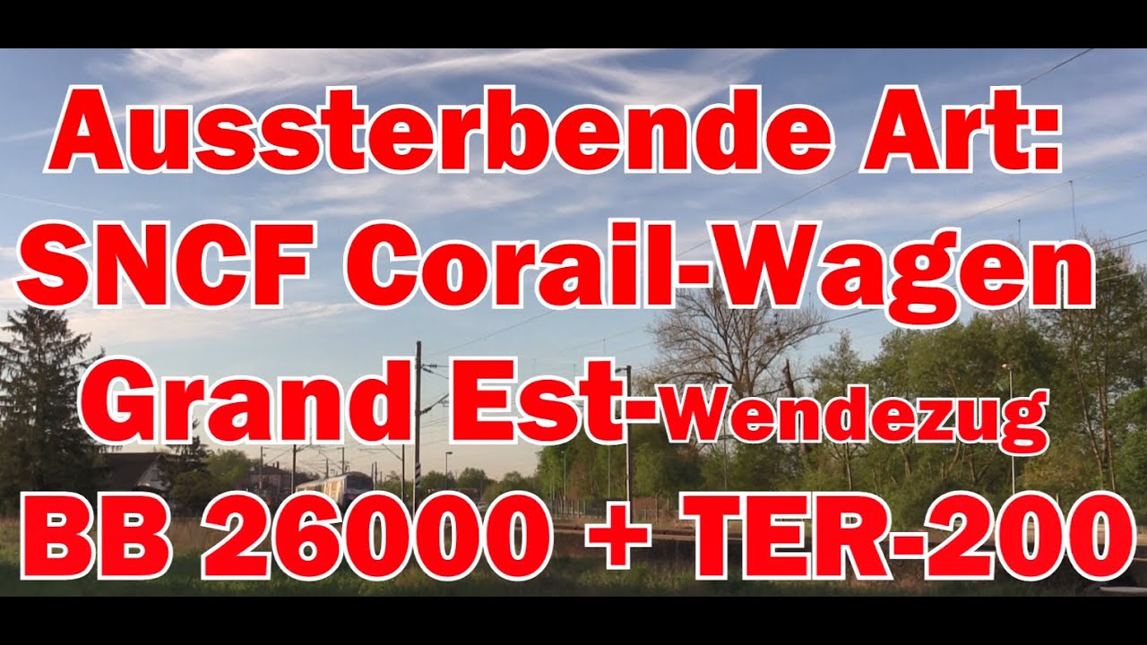 Aussterbende Art: SNCF Corail- Wagen: Grand Est 
