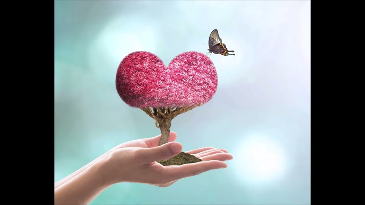 GARDE TON COEUR PLUS QUE TOUT AUTRE CHOSE Proverbes 4 23