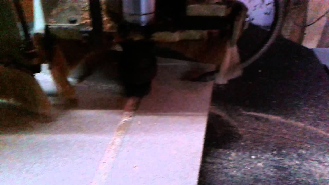 scm  R9 fresado madera