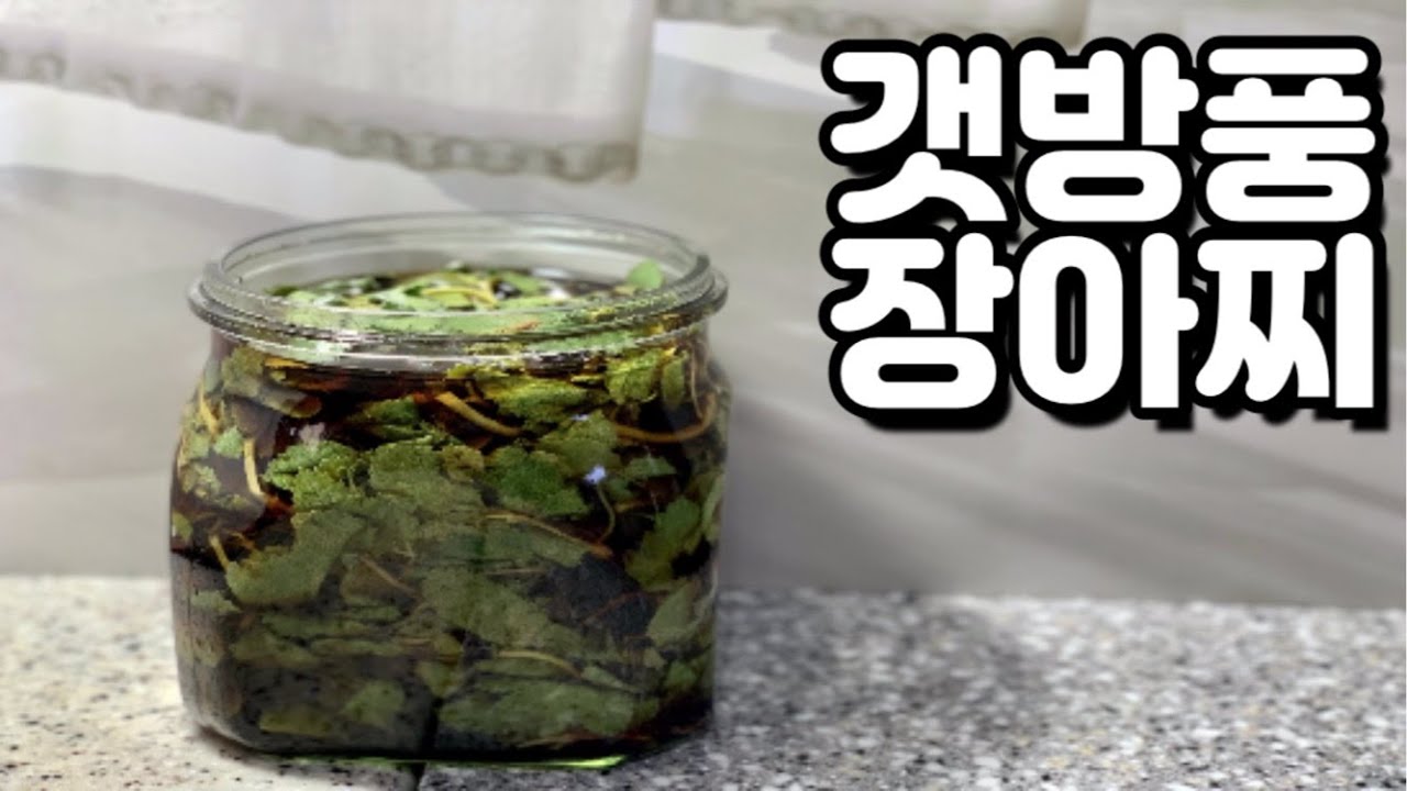 반나절이면 먹을 수 있는 갯방풍장아찌 만들기