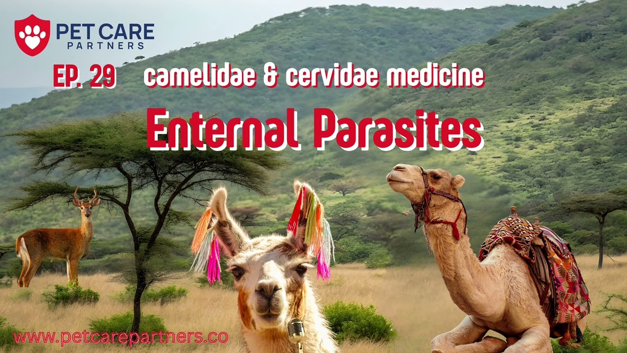 EP 29 — External Parasites in Camelidae & Cervidae