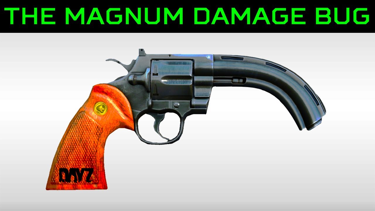 [Fixed]The Magnum Damage Bug | 40% Less Damage in DayZ