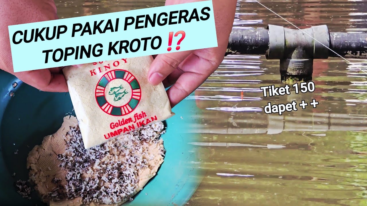 SANGAT DI GEMARI PEMANCING ⁉️ Resep umpan ikan mas KLASIK masih jadi andalan para pemancing