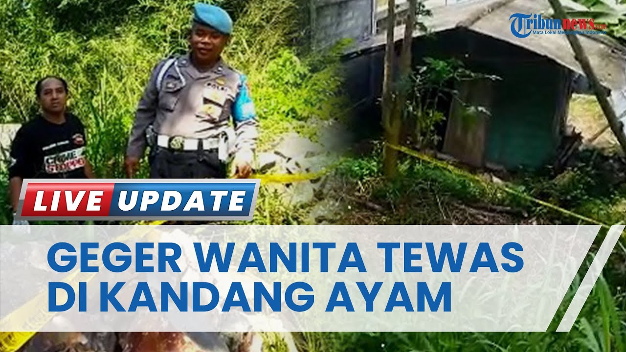 Wanita Ditemukan Tewas di Kandang Ayam, Ada Bekas Luka di Leher, Diduga Korban Pembunuhan