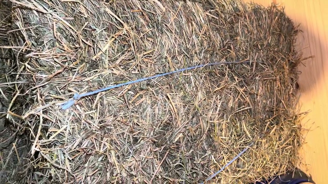 If You Know You Know… Baling Twine Saves Everything 😭🧵🐴