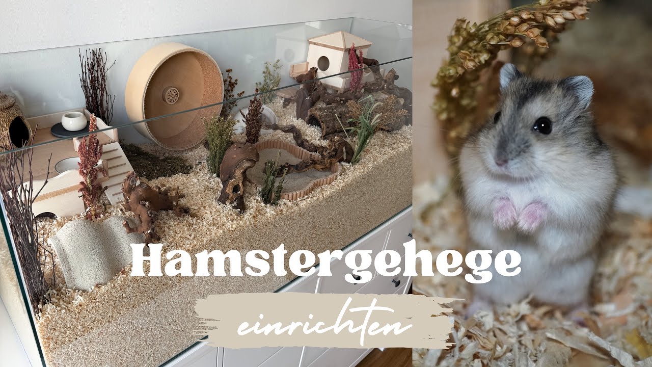 Hamstergehege naturnah einrichten für Zwerghamster | Hamsterstübchen