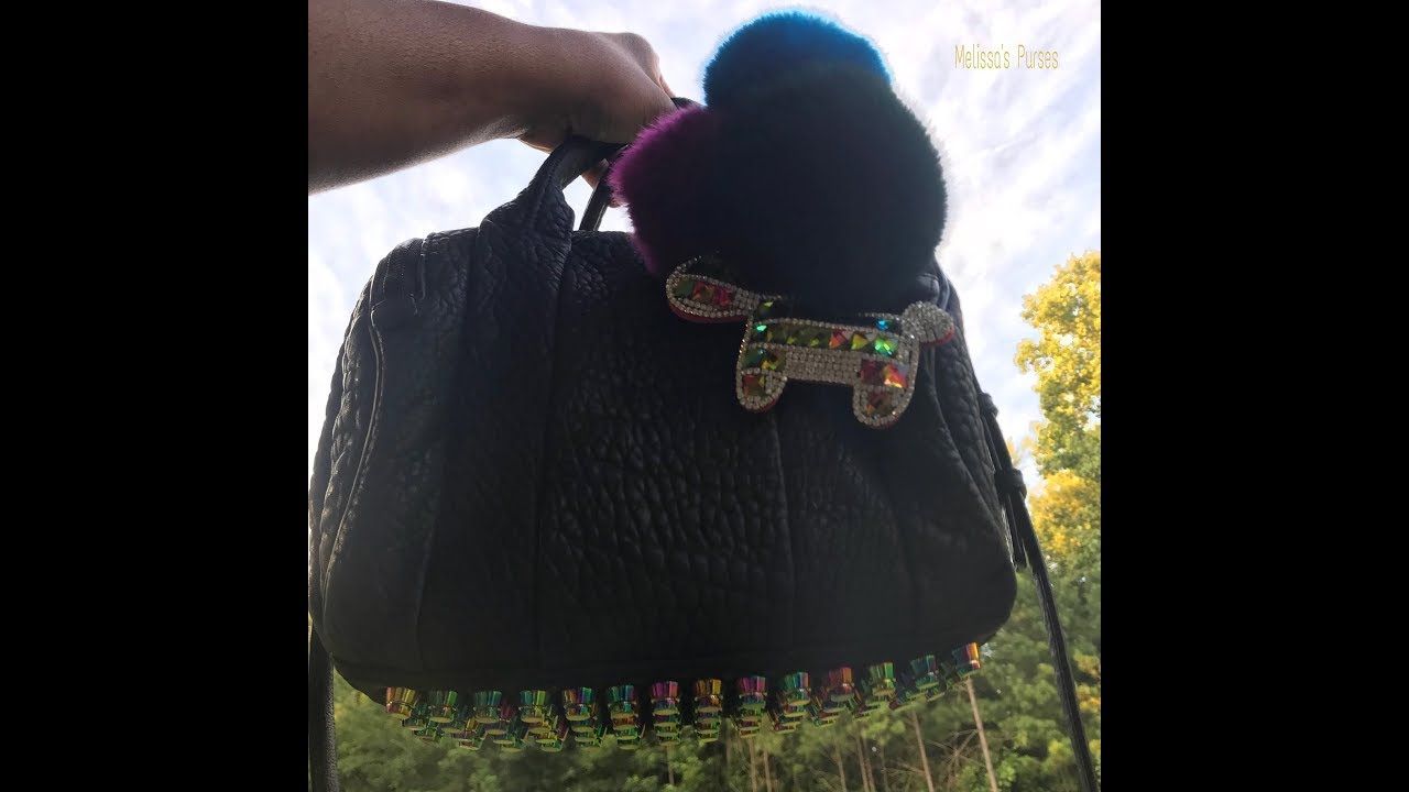What fits in my Rare Alexander Wang Rockie?