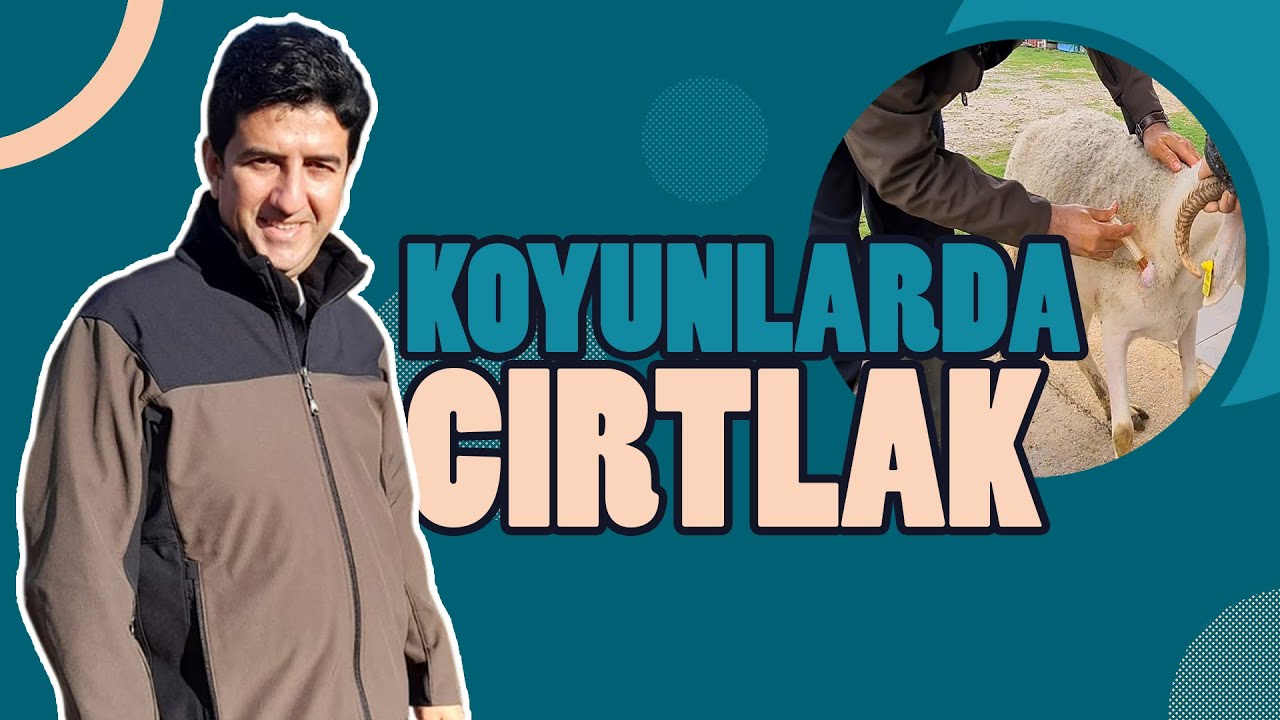 DR. KOYUNCU - CIRTLAK  (pseudotuberküloz)TEDAVİSİ VE KORUNMA YOLLARI