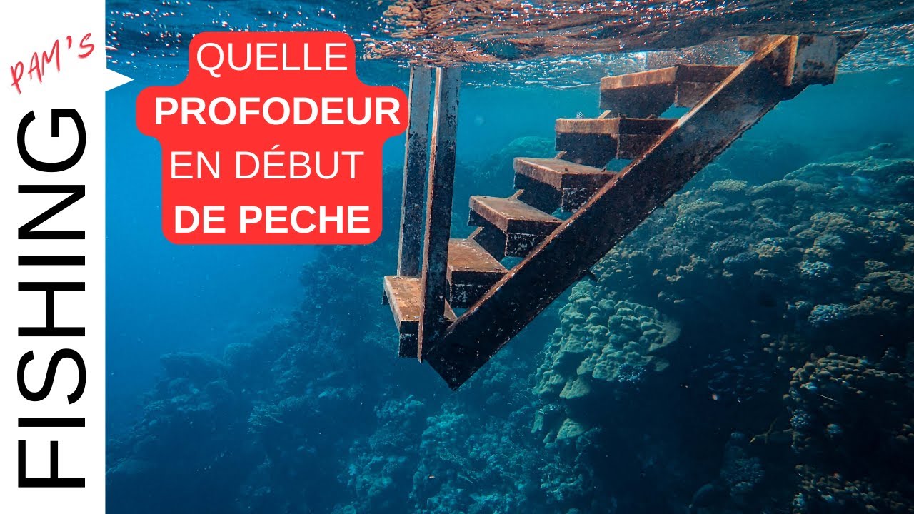 ➣  ASTUCE LIGNE  PECHE AU COUP |  FISHING PAMS