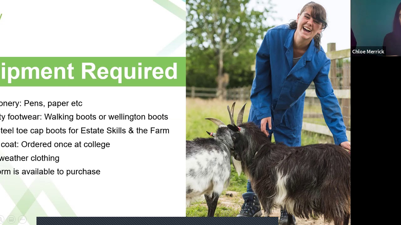 Animal Management & Equine at Brinsbury