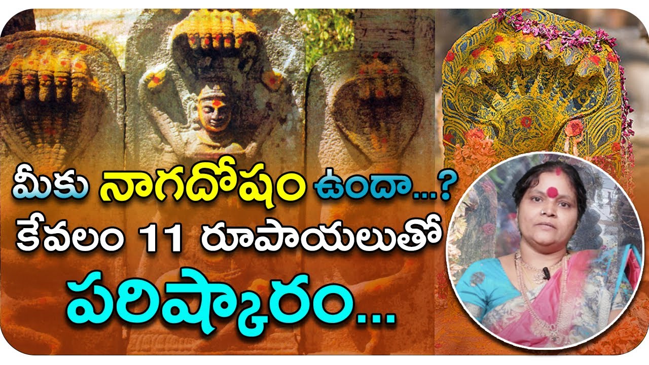 NAGADOSHAM || Kala Sarpa Naga Dosham Solution and Remedy || Mil Maker