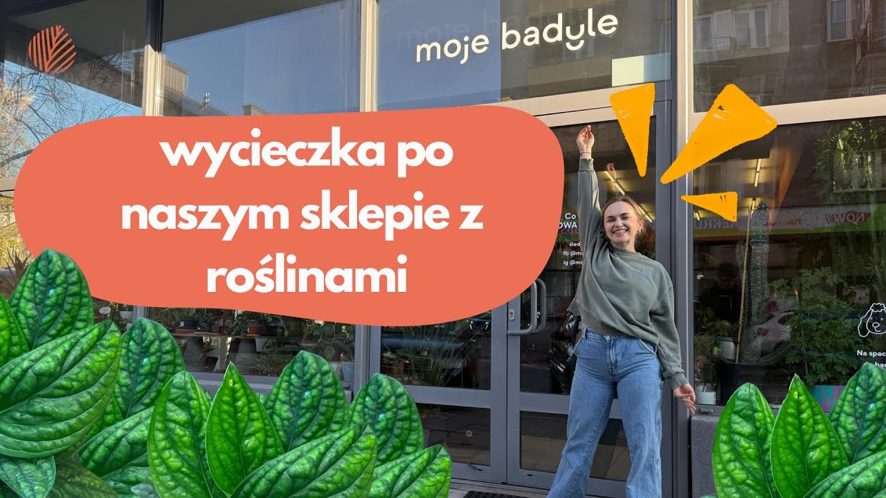 Plant Tour po sklepie z roślinami Moje Badyle. Wycieczka po badylach! 🪴🪴