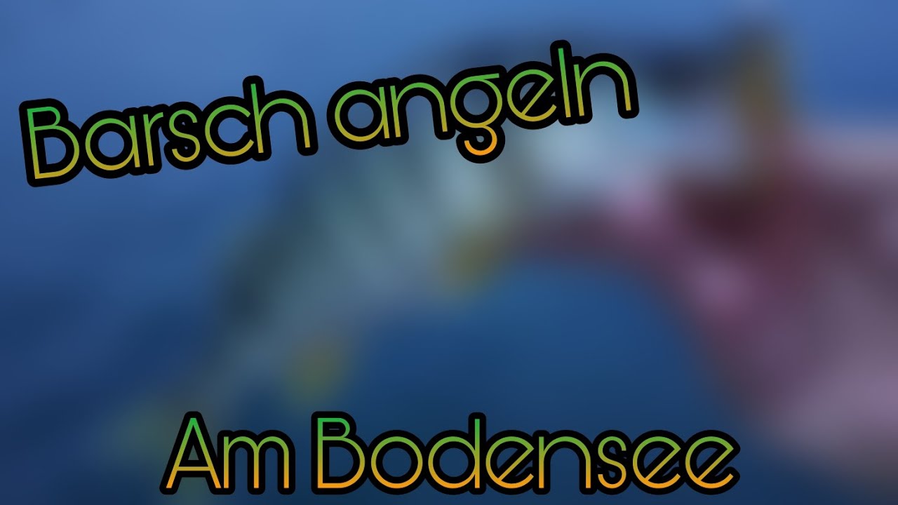 Spinnfischen auf Bodensee Barsche | Floke Angelt