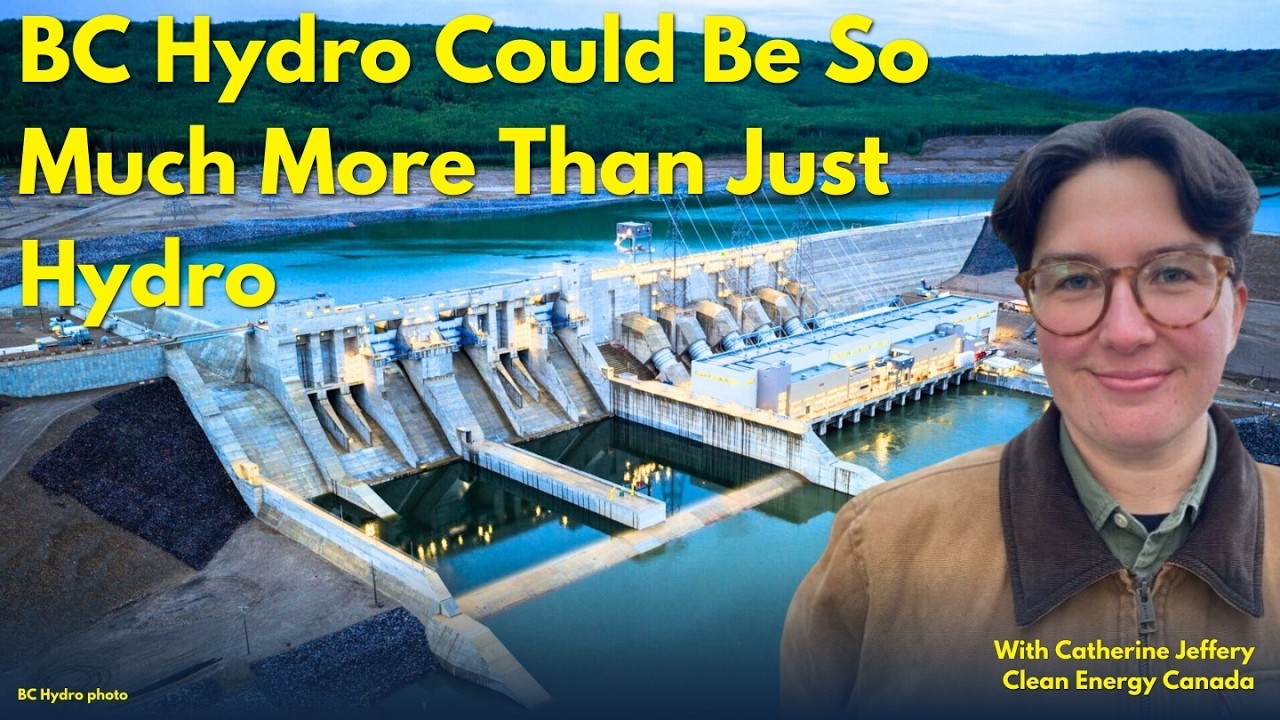 Как умный термостат может сэкономить миллиарды долларов для BC Hydro и потребителей