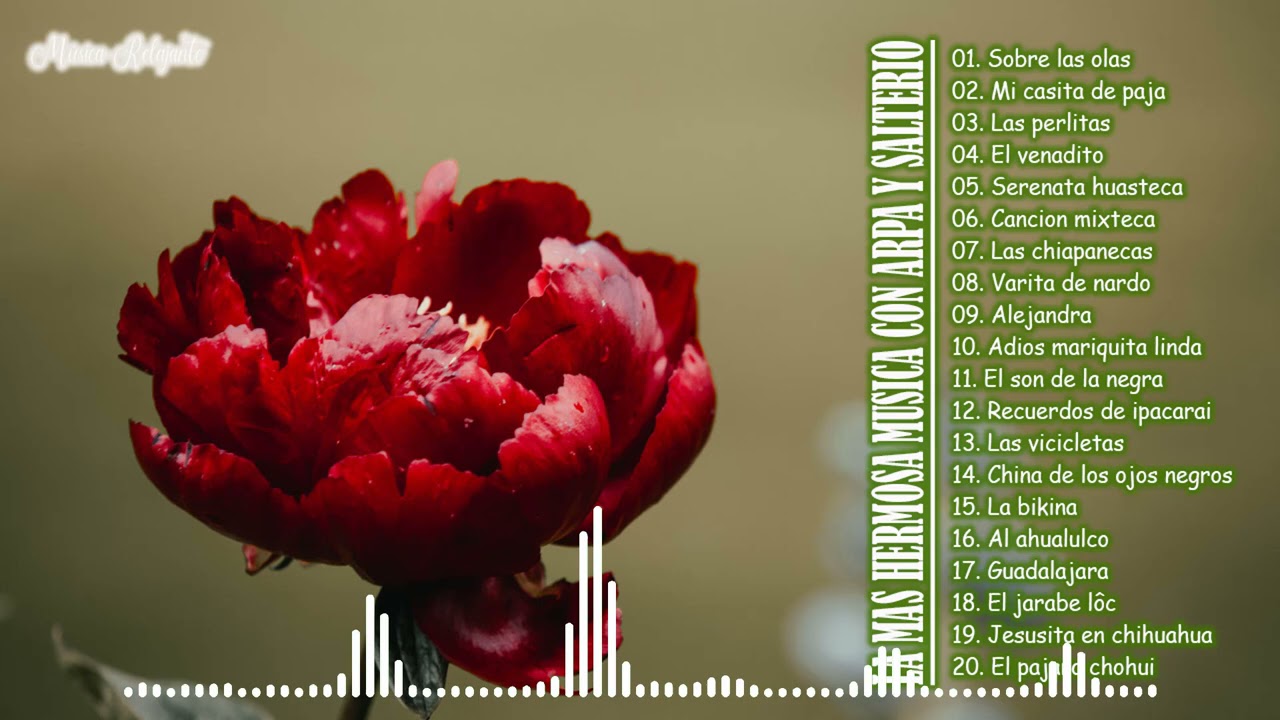 LA MAS HERMOSA MUSICA CON ARPA Y SALTERIO PURA MUSICA INSTRUMENTAL DE MEXICO
