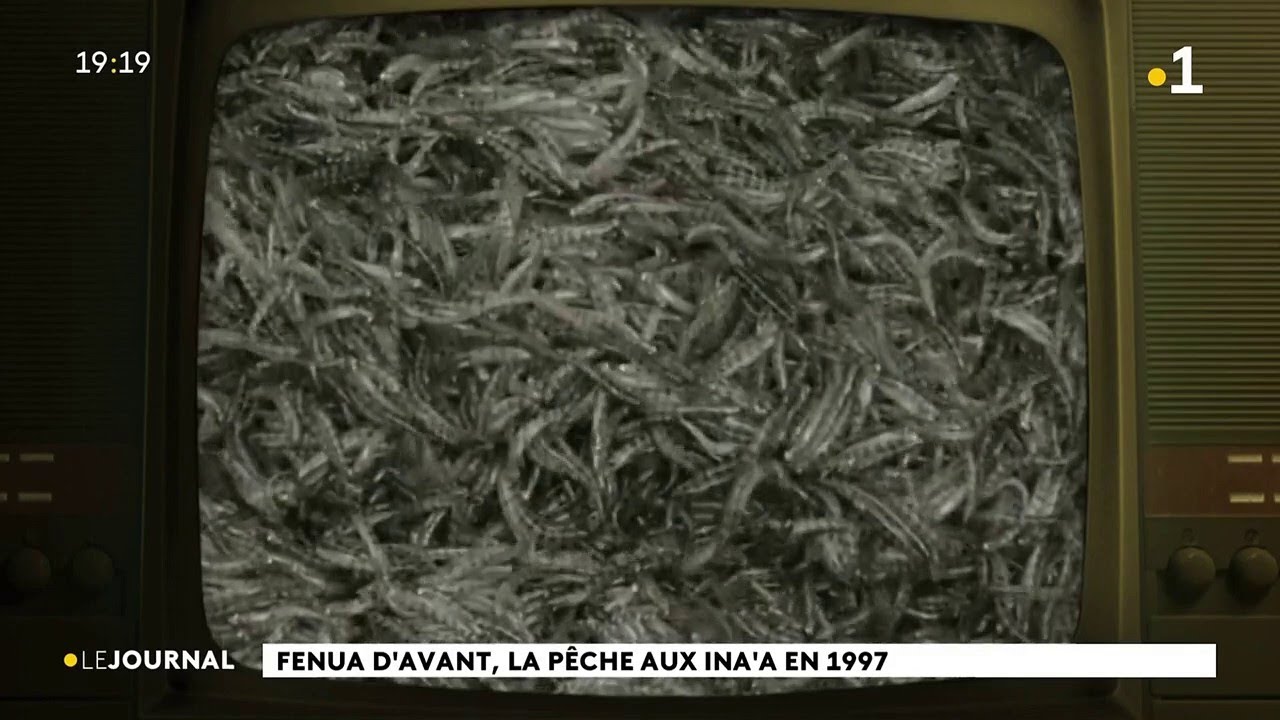 Fenua d'avant, la pêche aux ina'a en 1997