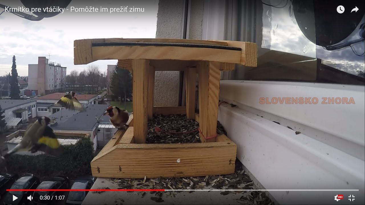 Krmítko pre vtáčiky - Pomôžte im prežiť zimu