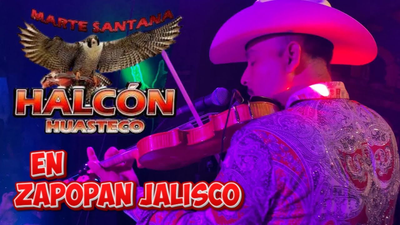 HALCON HUASTECO POR PRIMERA VEZ EN ZAPOPAN JALISCO.