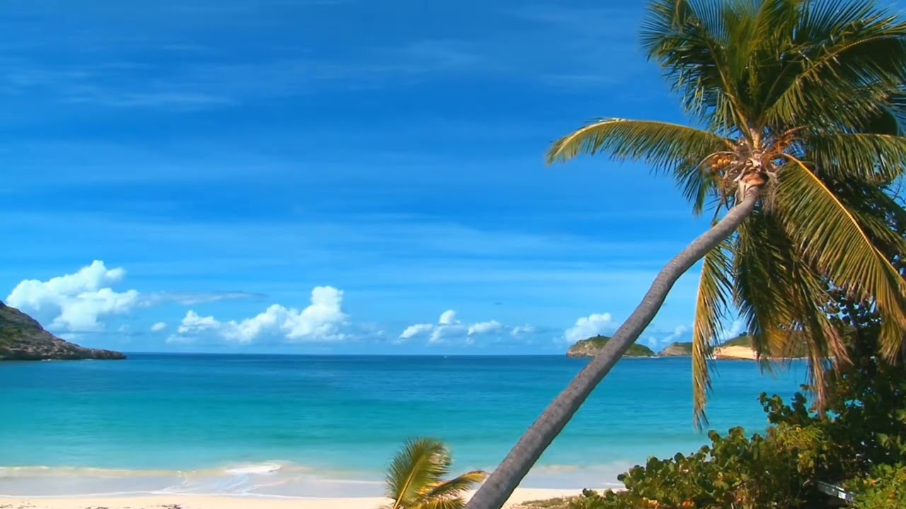 Suono del Mare per Dormire e Rilassarsi  | Tropical Ocean Waves for Deep Sleep & Relaxation 