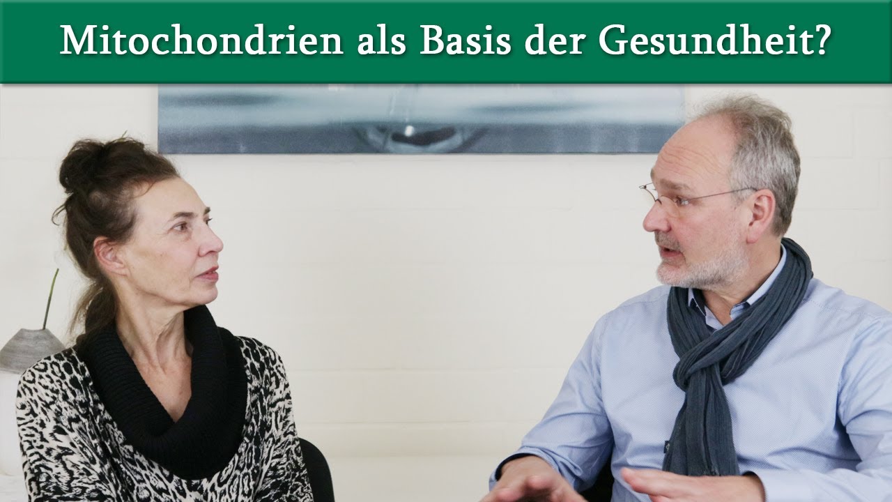 Mitochondrien als Basis der Gesundheit? | Prof. Dr. König im Interview mit Dr. med. Dirk Wiechert