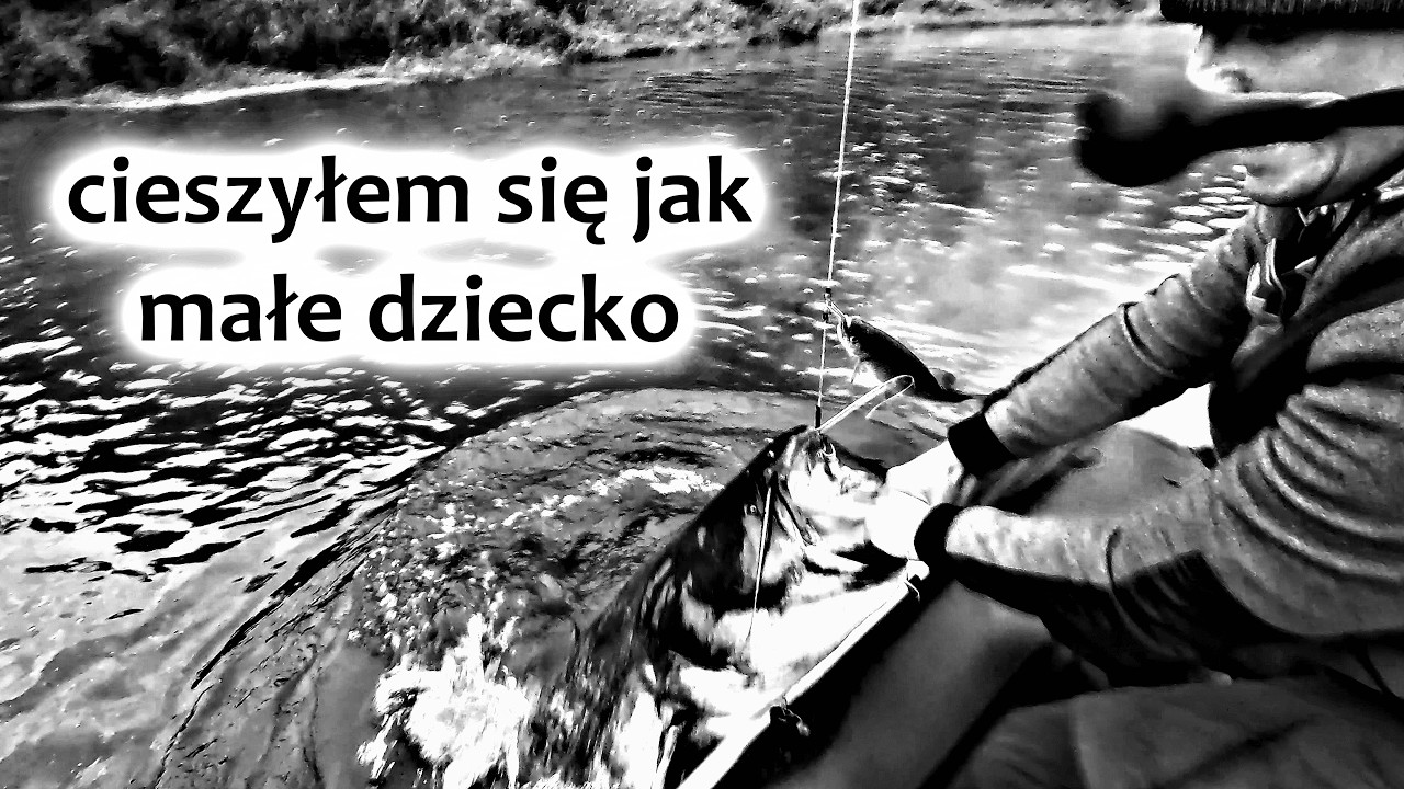 Branie na żywca i hol suma