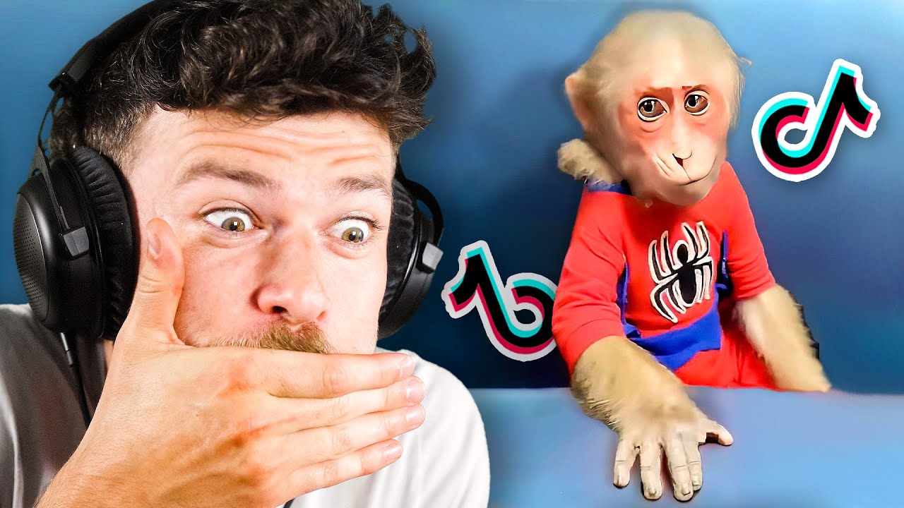 Tiktok But Its Actually Funny...