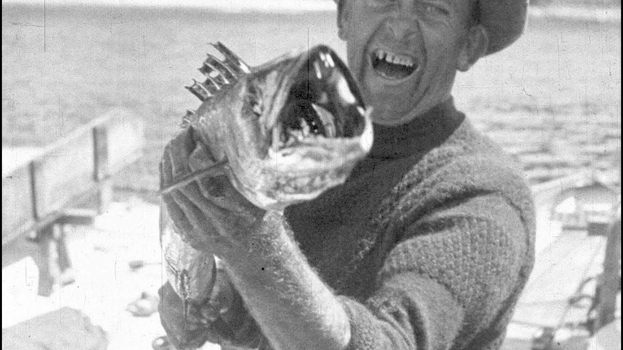 Barracouta Fishing In Tasmania