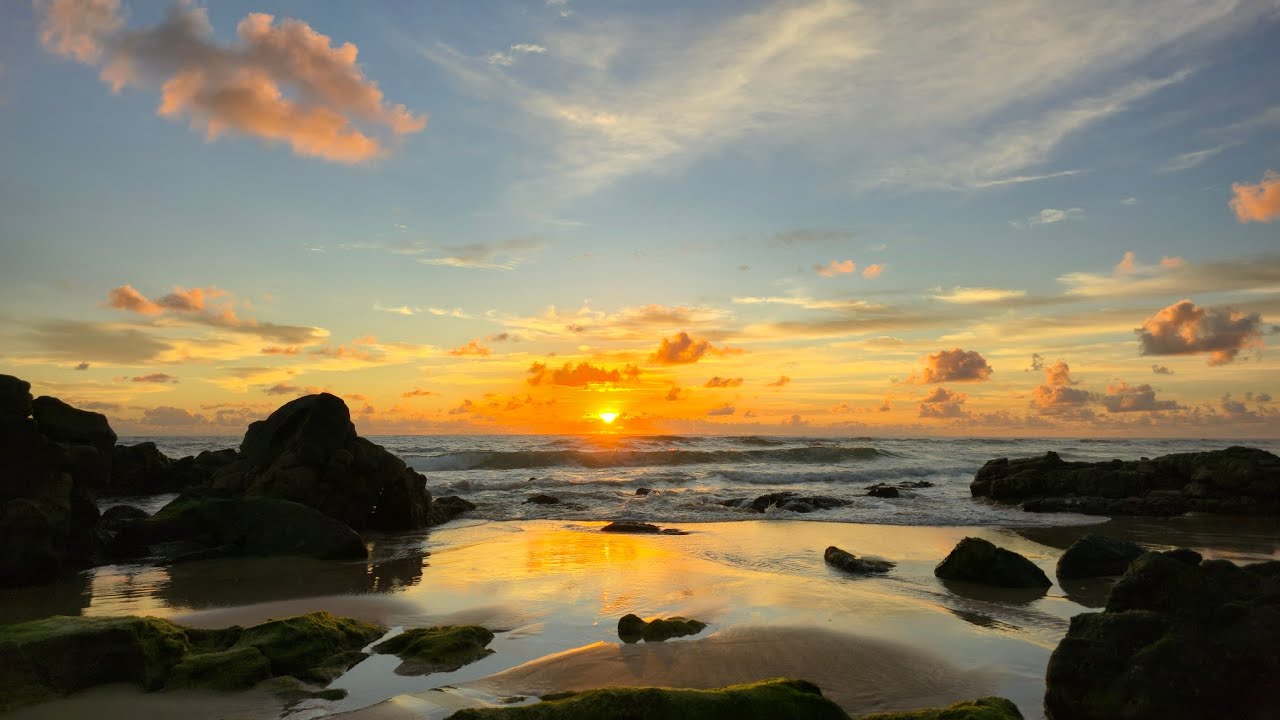Alive Morning at Point Arkwright, Australia | Sunrise 185 – Pastel Reflections | UHD, 4K