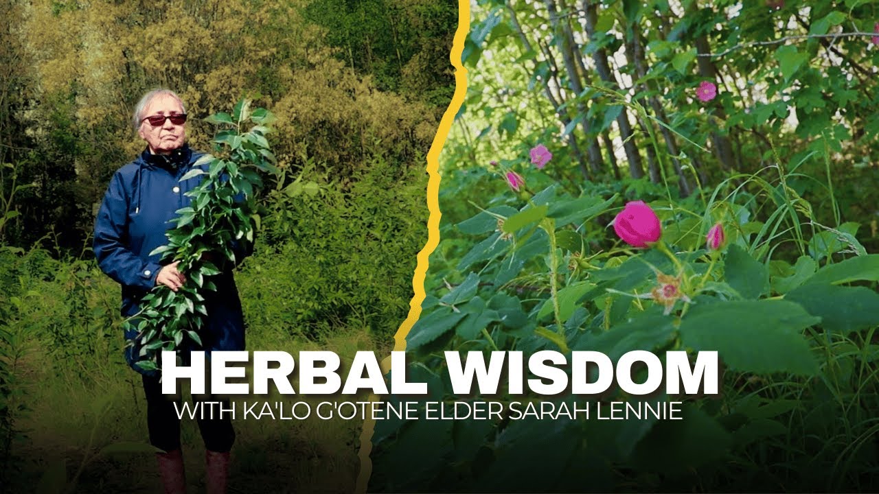 Herbal Wisdom - Ka'lo G'otene Elder Sarah Lennie
