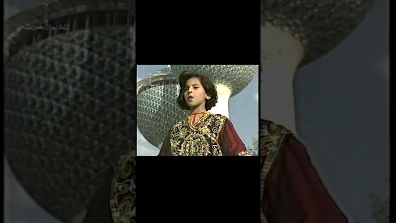 بابا بوش