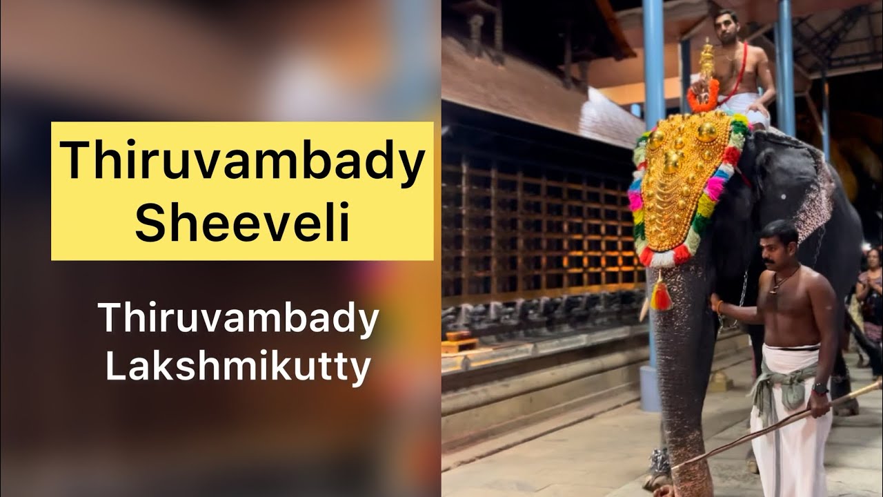 Thiruvambady Sheeveli | കണ്ണന്റെ ശീവേലി | Thiruvambady Lakshmikutty | FULL VIDEO | HARISH G