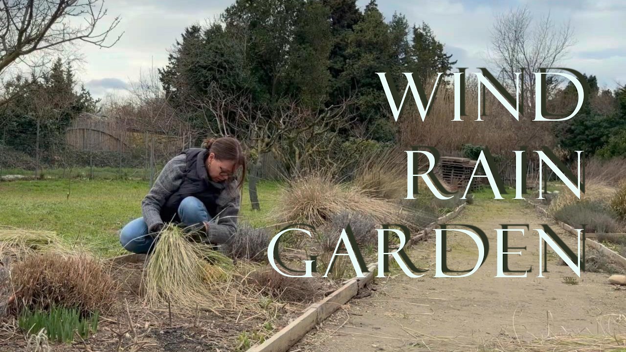 Vegetable Garden Winter Prep: Cutting Back Perennials + Planting Roses in the Rain