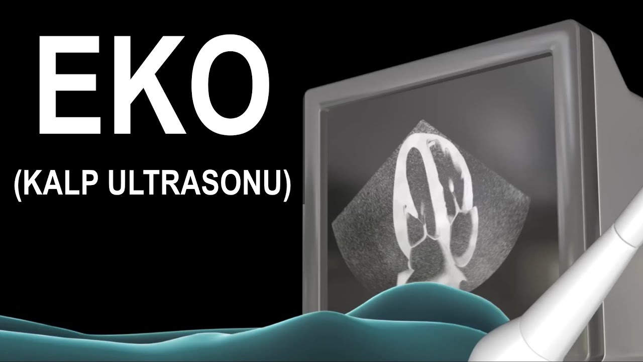 EKO (Ekokardiyografi; Kalp Ultrasonu)