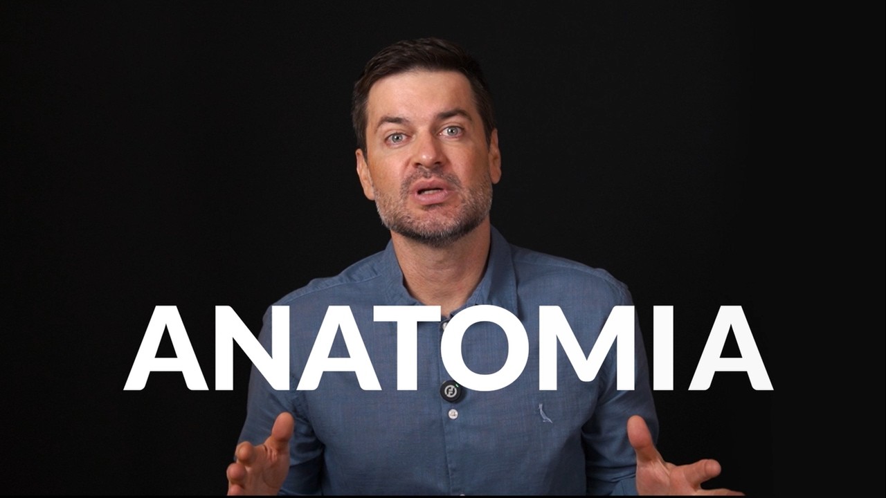Descomplicando a Anatomia da Face