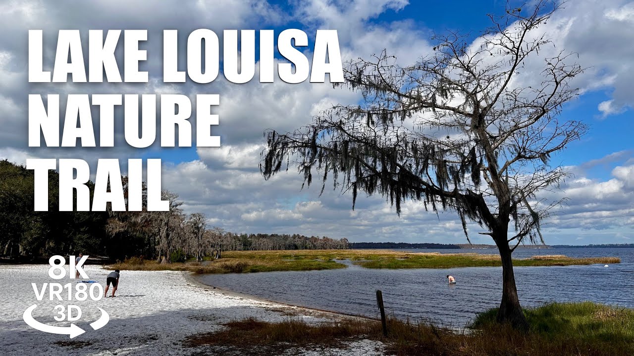 Lake Louisa State Park Nature Trail VR180 8K 3D Wilderness, Dunes, Lake Views | VR视频 8K 3D動画 VR旅行