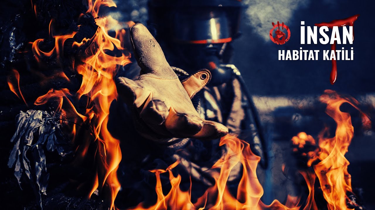 İNSANLAR | Doğanın En Tehlikeli Canlısı : İnsan | Hayvanlar Alemi