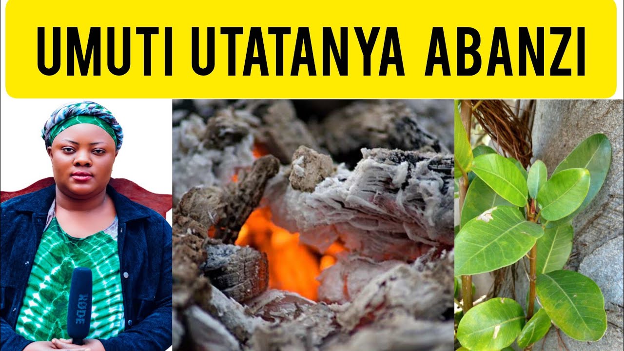 KORESHA UYU MUTI ABANZI BAWE BATATANE #UMUTI