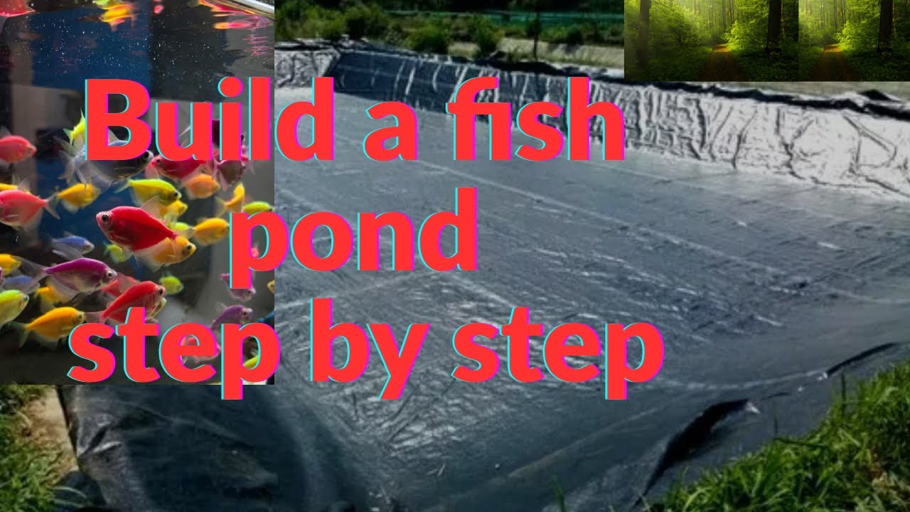 How to build a pond: Step-by-step for beginners and easy to farming 🐬🐬
