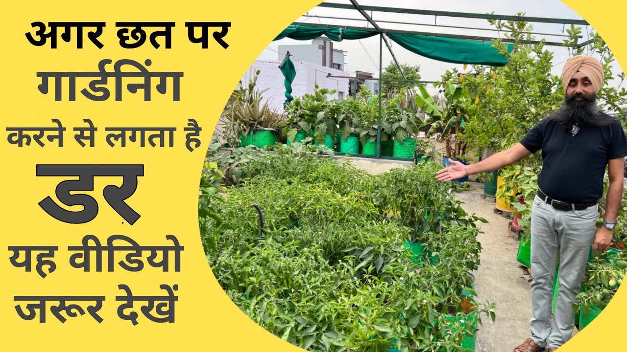 अगर छत पर गार्डनिंग करने से लगता है डर, तो यह वीडियो जरूर देखें || Terrace Garden Setup ||