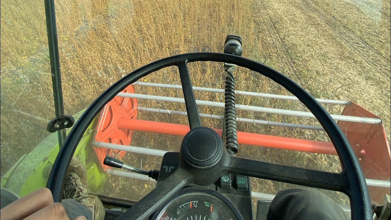 Молотим сою 2023 Claas Dominator 48s vs 18 га сої,хто кого?