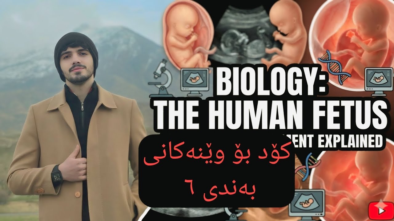 کۆدی زۆر تایبەت | هەرگیز لەبیری ناکەیت | بەندی (٦) وێنەی پەیوەندیدار بە کۆرپەلە . 🔥💯
