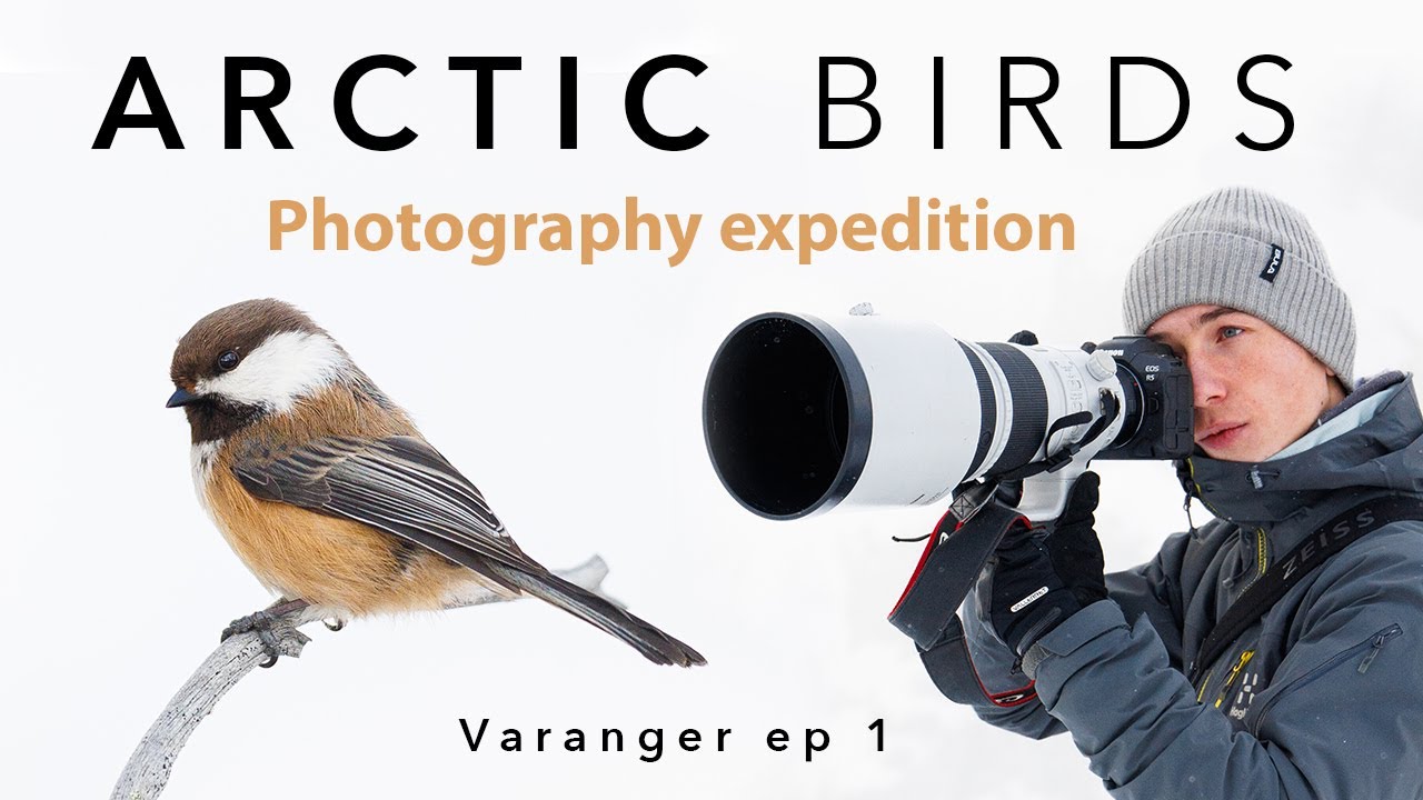 ФОТОГРАФИЯ ПТИЦ В АРКТИКЕ ⎸ Экспедиция Варангер, эпизод 1