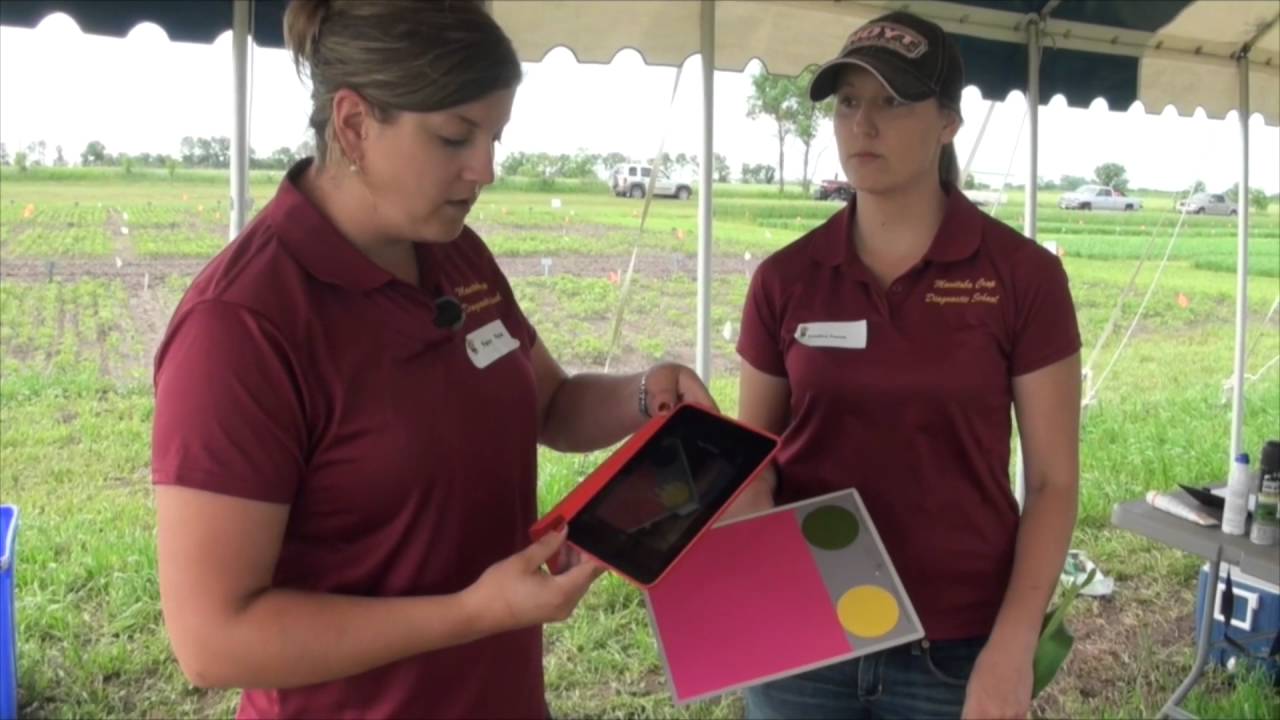 Corn School West: The Greenseeker, N Rate Ramps & An App for Readings